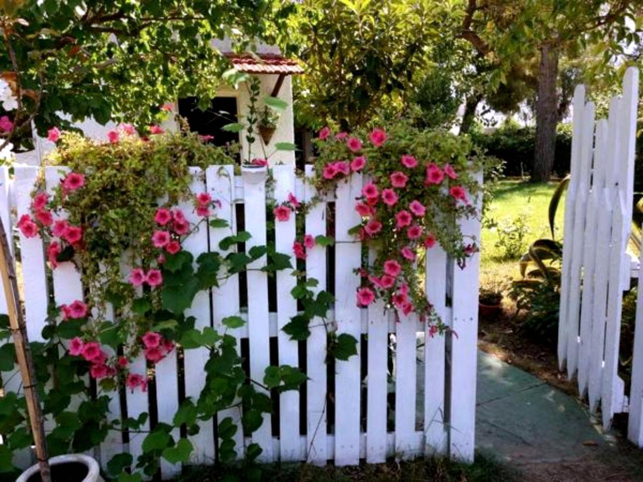 La Corte Delle Rose B&B Praia a Mare Exterior photo