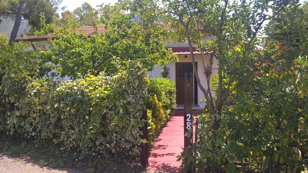 La Corte Delle Rose B&B Praia a Mare Exterior photo